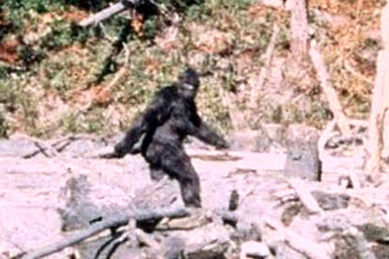 Patterson Gimlin Bigfoot